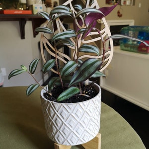 Enrica added a photo of their purchase