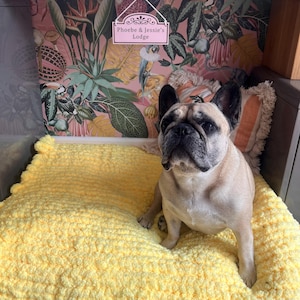 chloe added a photo of their purchase