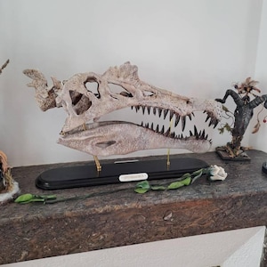 1,2 crâne en cristal fossile de dinosaure sauropode sculpté à la main