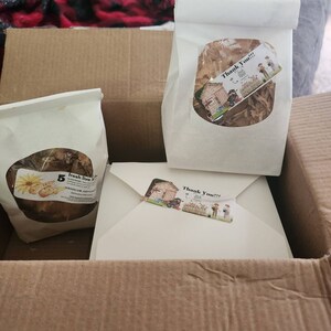 10 Lampadine LIVE Colocasia Esculenta Orecchio Di Elefante - Foto 11