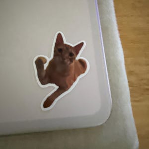 Julie added a photo of their purchase