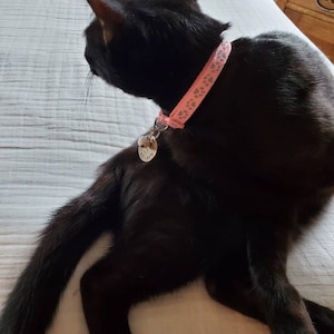Shannon heeft een foto van de aankoop toegevoegd