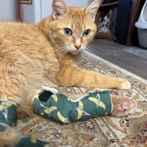 sawyer added a photo of their purchase
