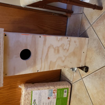 Bird Nest Box Plan Northern Flicker Birdhouse Plan DIY - Etsy