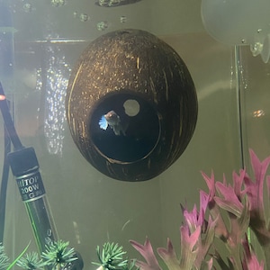 Hailie added a photo of their purchase