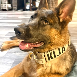 Annie ha añadido una foto de su compra