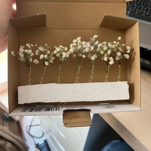 Giulia added a photo of their purchase