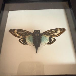 Juliet added a photo of their purchase