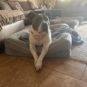 Marie added a photo of their purchase