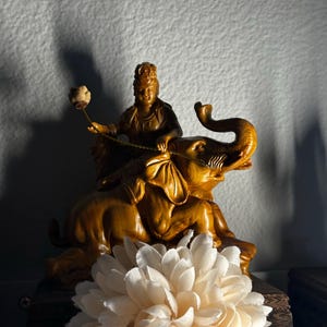 Rohan added a photo of their purchase