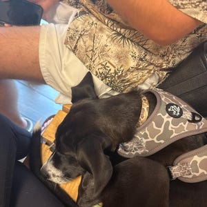 Kallie added a photo of their purchase