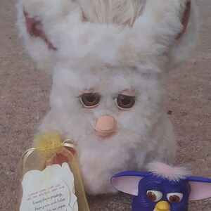 Lorna added a photo of their purchase