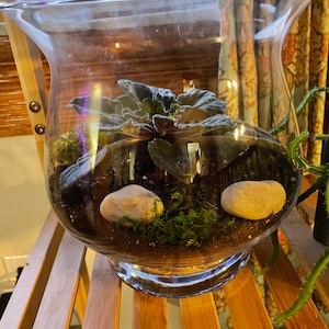 nikki added a photo of their purchase
