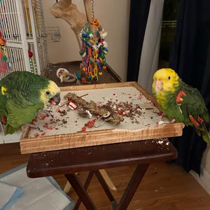 B added a photo of their purchase