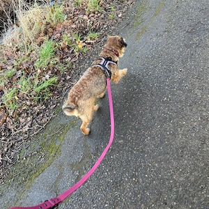 Rosie added a photo of their purchase