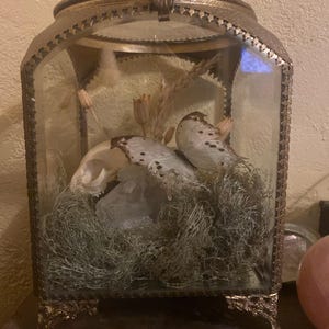 Maxine added a photo of their purchase