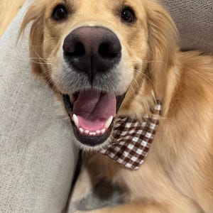 Stacy ha añadido una foto de su compra