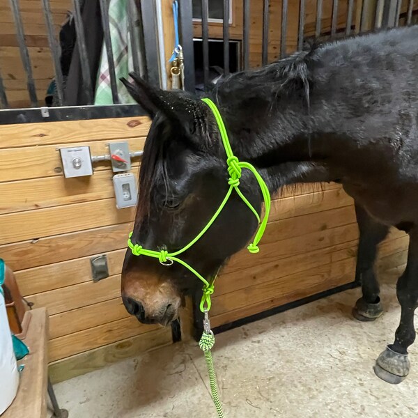 Bit Less Rope Halter Custom Sidepull Rope Halter, Bitless Bridle, Custom Horse Halter, Rope ...