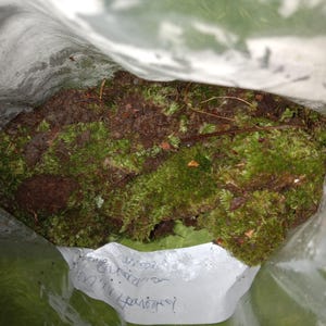 Comprador de Etsy ha añadido una foto de su compra