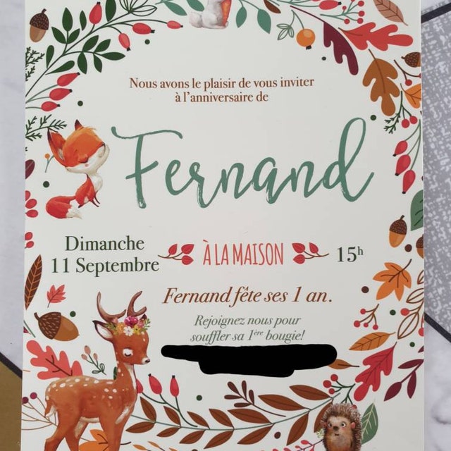 Toile De Fond Anniversaire Renard - Forêt Enchantée 180x109cm, Décoration Fête Enfant