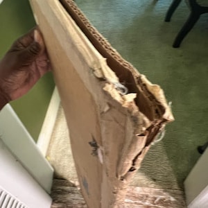 Patricia added a photo of their purchase
