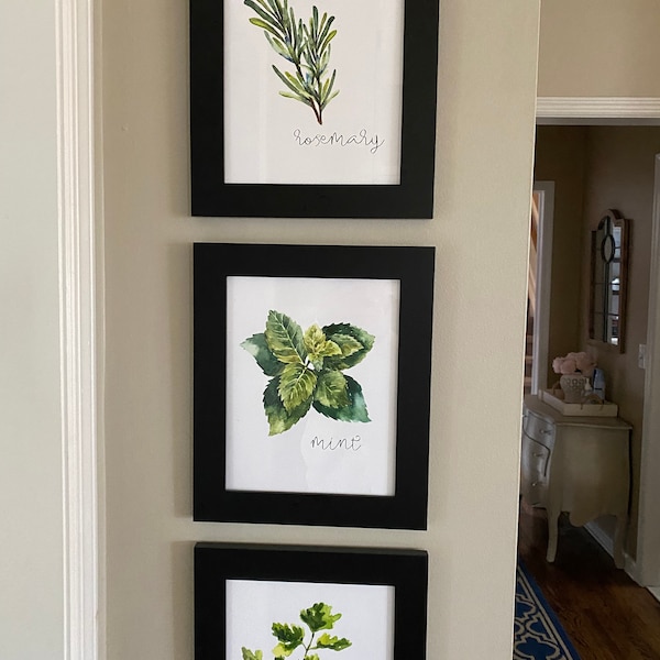Kitchen Herbs Art Prints - Botanical Prints - (set of 6) - 8x10s - Etsy