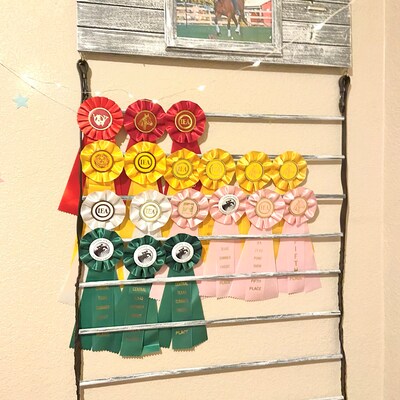 Personalized Show Ribbon Display - Etsy