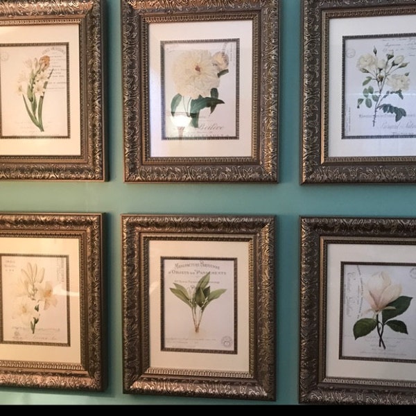 White Botanical Collage Print Set No. 4, Antique Botanical, Wall Art ...