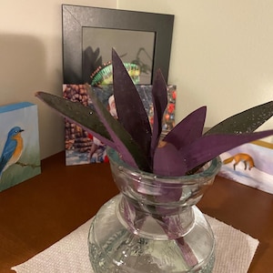 Wil added a photo of their purchase