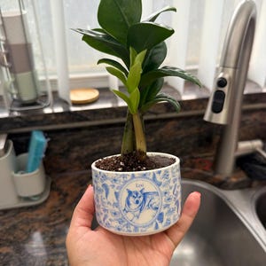 Daniela added a photo of their purchase