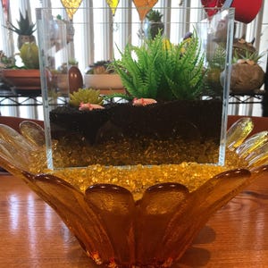 Bobbie added a photo of their purchase