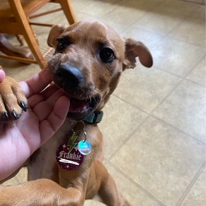 Amanda added a photo of their purchase
