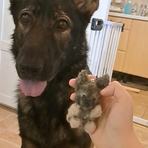 Stella added a photo of their purchase
