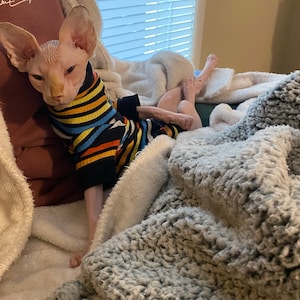 Corey added a photo of their purchase