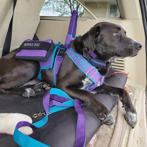 service dog y front harness
