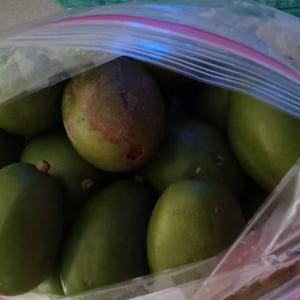Princess ha añadido una foto de su compra