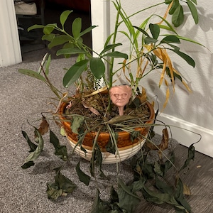 Katrina added a photo of their purchase