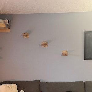 Emily added a photo of their purchase