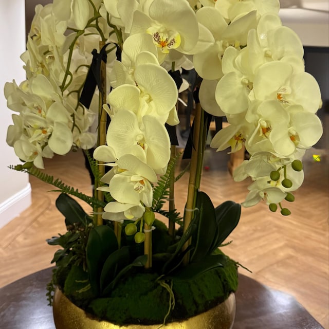 Orchidée Artificielle Orchidées en Soie Orchidée Blanche Fleurs Artificielles Toucher Réel Fausse Phalaenopsis Tige de Cymbidium Décoration de Mariage Maison Fleurs Orchidée Artificielle Orchidées en Soie Orchidée Blanche Fleurs Artificielles Toucher Réel Fausse Phalaenopsis Tige de Cymbidium Décoration de Mariage Maison Fleurs