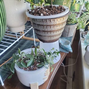 Jen added a photo of their purchase