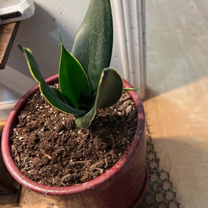 Carla added a photo of their purchase