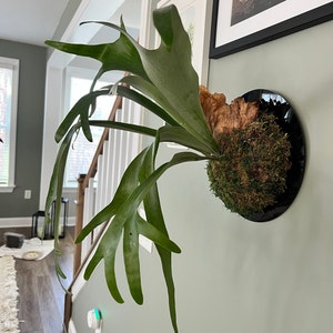 Allyn added a photo of their purchase