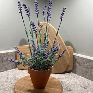 Alison added a photo of their purchase