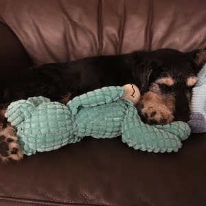 Div added a photo of their purchase