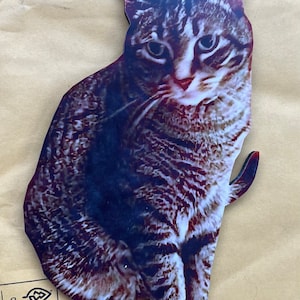 Phillip added a photo of their purchase