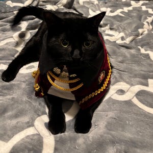 LEILANI a ajouté une photo de son achat