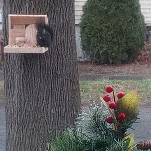 Sandi added a photo of their purchase