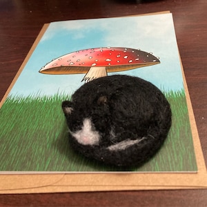 Robin added a photo of their purchase