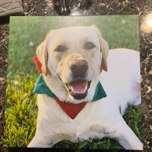 Nico added a photo of their purchase