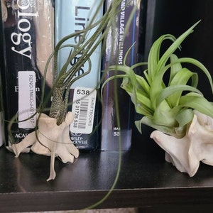 Sammy added a photo of their purchase